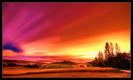 Painting the dawn - rays, horizon, sky, trees, dawn, golden, pinks, sunrise