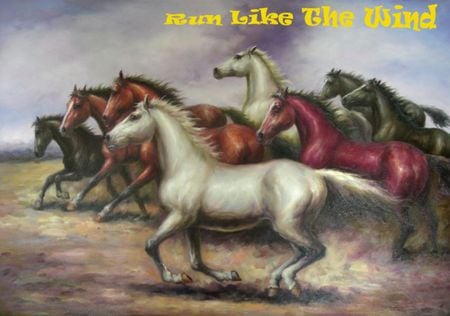 Run like the wind - horse, animals, run, wind