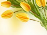 5 yellow tulips