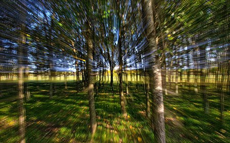 Tree Energy - forest, ray, light, nature, abstract