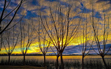 Golden Dawn - sky, lakes, reflection, trees, peaceful