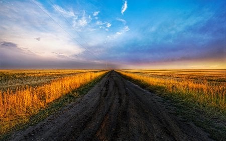 the road ahead - fields, nature, road