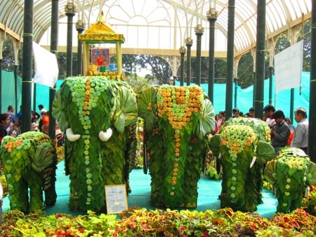 Leaf Elephant - india, ooty, greenery, field, flower show, nature, scenery, south india, flower