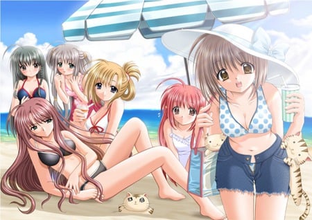 At the Beach - anime, beach, food, sand, group, umbrella, animal, kitten, bikini, hat, anime girl, swimsuit, water, hot, girl, sea, friend, ocean, cat, girls, cloud, sexy