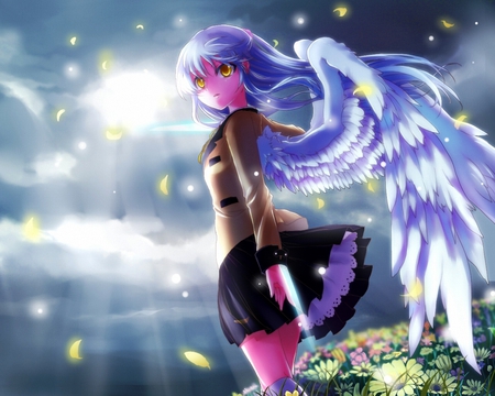 Tenshi - sky, hot, angel, wings, field, anime girl, petal, cloud, anime, feather, cute, sexy, sunlight, girl, wing, flowers, flower