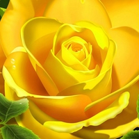 3d-yellow-rose