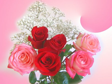 Roses in pink - bouquet, roses, pink