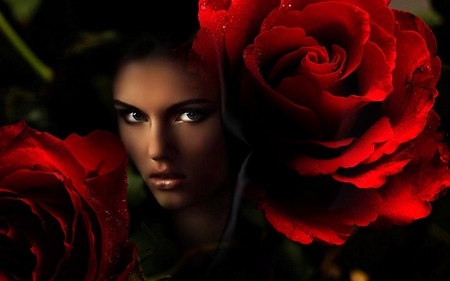 A Rose for Rose - rose, flower, red, woman