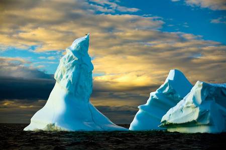 Icebergs - notre, water, blue, icebergs, dame, bay