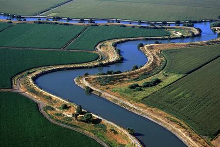 Sacramento San Joaquin River Delta - nature, river