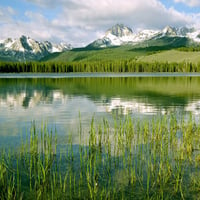 Crystal Mountains