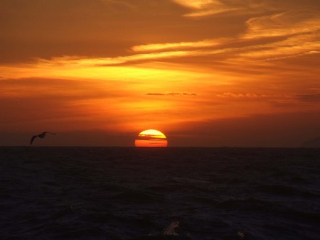  SUNSET OVER THE BEACH - beach, sunset