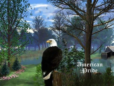 Bald Eagle - eagle, sky, trees