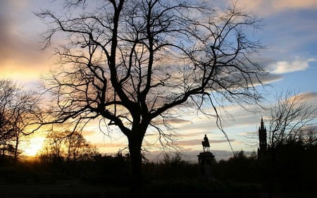 Skyline - clouds, steeple, skyline, evening, silhouette, church, tree, sunset, twilight, sky, statue