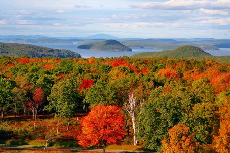 Overlook of Glory - glory, foliage