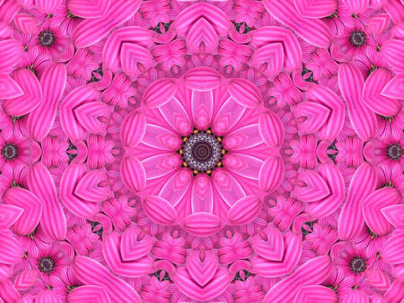 pink fowers - summer, spring, 3d, flower, pink