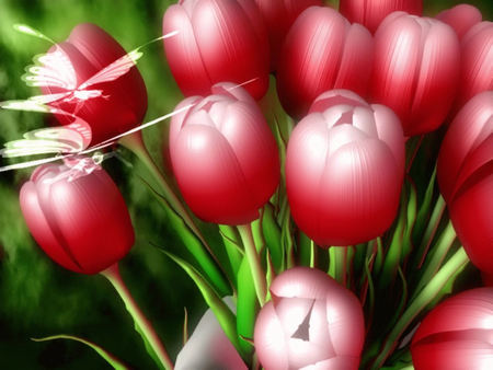 Red Tulip - tulip, flower, red, beautiful