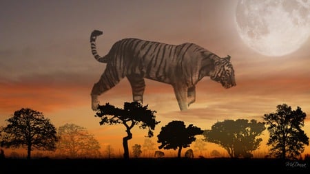 Tiger Sunset #2 - widescreen, moon, ghostly, trees, fantasy, sunset, tiger