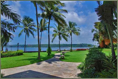 Palms - sky, palm trees, water, walkway, nature