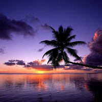 Moorea, French Polynesia