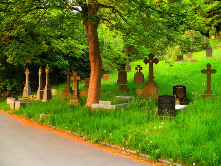 Stoney Royd Graveyard - graveyard, gravestones, grass, trees