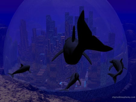 sentry - city, dolphins, ocean