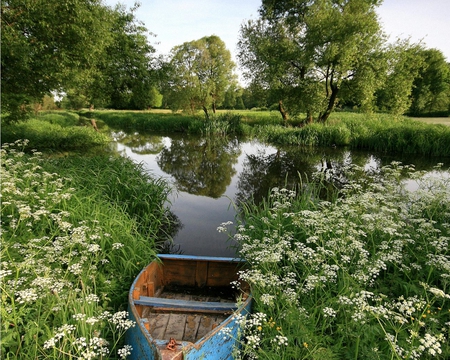 last day of May - flowers, pond, boat