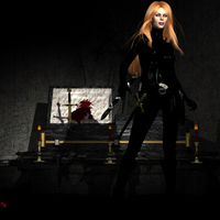 Vampire Hunter