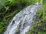 waterfalls in the forest