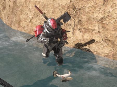 I found a seagull! - xbox live, wars, 2, seagull, 3, live, 1, halo, epic, xbox, d00mbucket