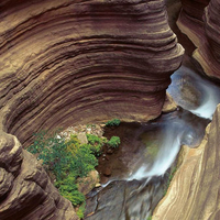 fall at the grand-canyon