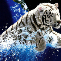 3d tiger