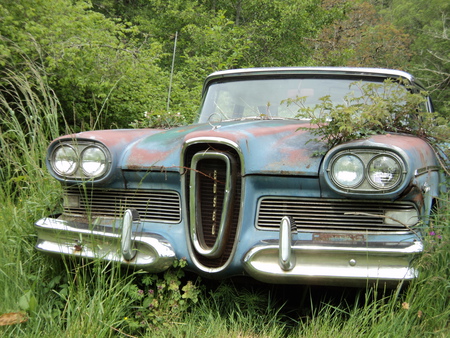 Seen better days - cars, nature, classics