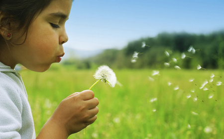 Beautiful  - spring, grass, nature, beautiful