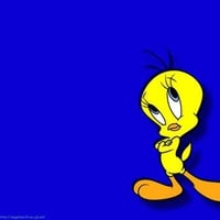 Tweety Pie