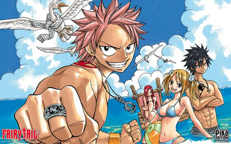 Fairy Tail - fairy tail, natsu, lucy, gray, erza