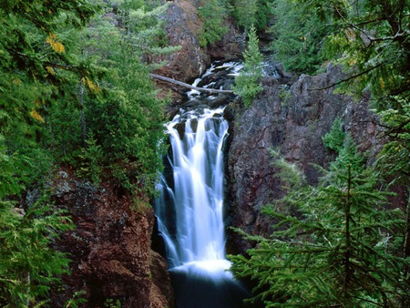 Waterfalls - trees, falls, forest, water, waterfalls, rivers