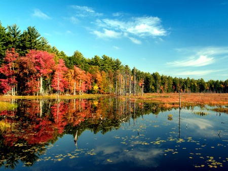 Autumn Colors - autumn colors, lakes, fall, trees, water, leaves