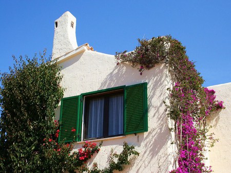 Spanish beauty - white, spain, vine, home, green, shudders, flowers