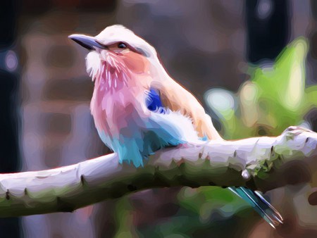 Pretty in pink - aqua, pink, blue, branch, bird