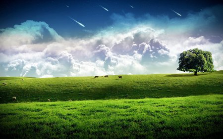 meteors in the sky - clouds, trees, sky, fields