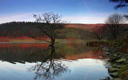 Autumn trees - water, autumn, trees