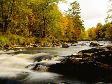 Colorful Reflections - rapids, streams, trees, water, colorful reflections, rocks, fall, forest, river