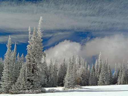 Blanket of Snow - ice, blanket of snow, cold, snow, winter