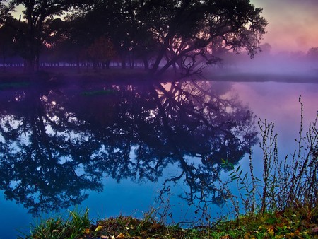 misty lagoon - lakes, misty mornings