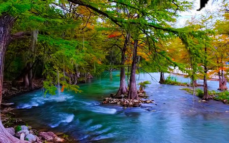 Still Life - nature, beauty, lake, forest, cool, reflection