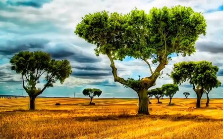 Paint By Itself - nature, sky, abstract, tree, field