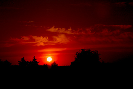 Sweet Sunset - nature, landscape, photography, red, sunset