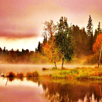 Mists of autumn