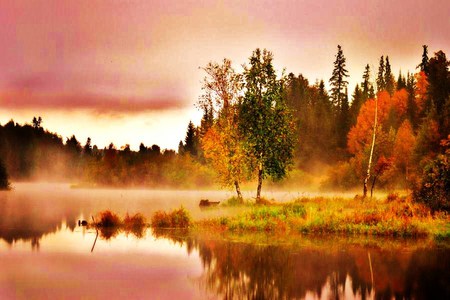 Mists of autumn - lake, fall, trees, yellow, red, orange, green, mist